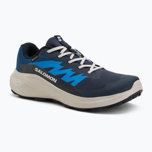 Мъжки обувки за бягане Salomon Alphaglide GTX blue night/lunar rock/french blue