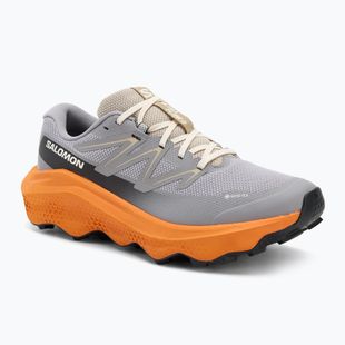 Мъжки обувки за бягане Salomon Ultra Flow 2 GTX gull/turmeric/white pepper