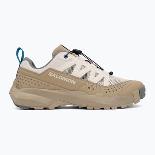 Мъжки туристически обувки Salomon Techamphibian 5 rainy day/desert tan/mykonos blue