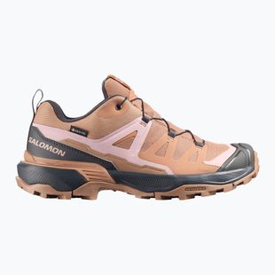 Дамски обувки за трекинг Salomon X Ultra 360 GTX burro/asphalt