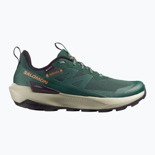 Мъжки туристически обувки Salomon Elixir Activ GTX scarab/green gable
