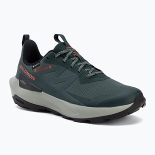 Мъжки туристически обувки Salomon Elixir Activ GTX scarab/green gable