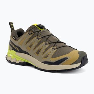 Мъжки обувки за бягане Salomon XA Pro 3D V9 GTX grape leaf/aloe