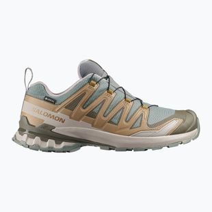 Мъжки обувки за бягане  Salomon XA Pro 3D V9 GTX sedona sage/brilliant olive