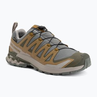 Мъжки обувки за бягане Salomon XA Pro 3D V9 GTX sedona sage/brilliant olive