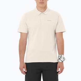 Мъжка поло тениска Salomon Trackline Polo silver cloud