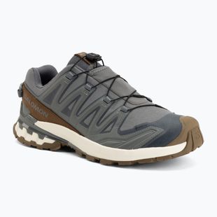 Мъжки обувки за бягане Salomon XA Pro 3D V9 GTX Lifelong sedona sage/coyote brown