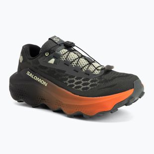 Мъжки обувки за бягане Salomon Ultra Glide 4 urban chic/black
