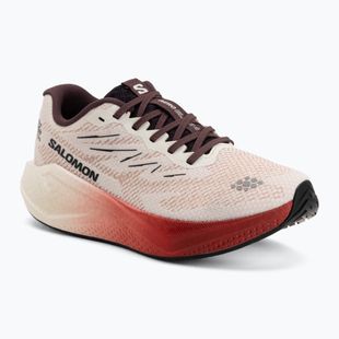 Дамски обувки за бягане Salomon Aero Blaze 4 vanilla ice/huckleberry