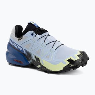 Мъжки обувки за бягане Salomon Speedcross 6 GTX Icon brunnera blue/surf the web