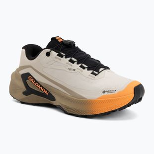Дамски обувки за бягане Salomon Genesis 2 GTX rainy day/desert tan
