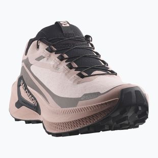 Дамски обувки за бягане Salomon Genesis 2 GTX shadow gray/iron