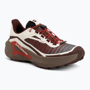 Мъжки обувки за бягане  Salomon Genesis 2 vanilla ice/iron