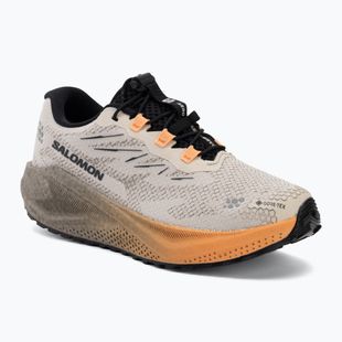 Дамски обувки за бягане Salomon Aero Blaze 4 GRVL GTX rainy day/black