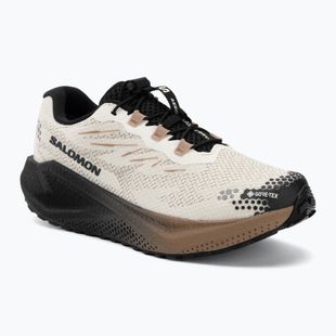Мъжки обувки за бягане Salomon Aero Blaze 4 GRVL GTX vanilla ice/black