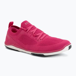 Дамски обувки barefoot Xero Shoes Nexus Knit fuchsia purple