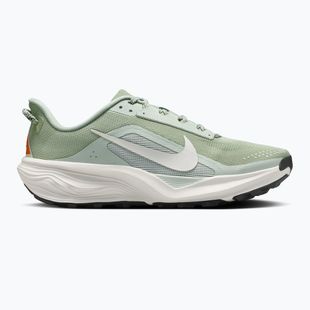 Мъжки обувки за бягане Nike ACG Pegasus Trail jade horizon/light silver/phantom