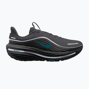 Мъжки обувки за бягане  Nike Winflo 12 GORE-TEX anthracite/black/bright spruce