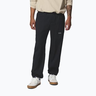 Мъжки панталони за трекинг Columbia Landroamer Scout black