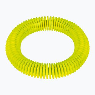 Играчка за гмуркане Fashy 4200 pierścień lamelowy neon green