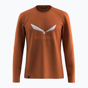Мъжка блуза с дълъг ръкав Salewa Solidlogo Dry bombay brown