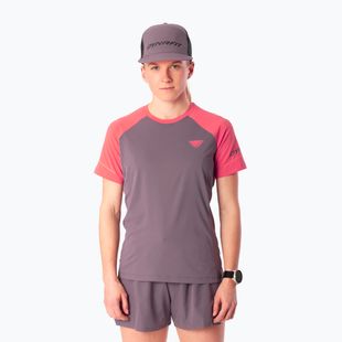 Дамска тениска за бягане Dynafit Alpine Pro SS Tee cabana/6A90