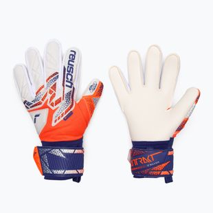 Вратарски ръкавици Reusch Attrakt Silver shocking orange/energize blue