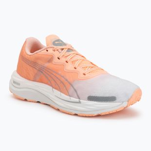 Дамски обувки за бягане Puma Velocity Nitro 2 melon/white/grey