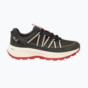 Мъжки туристически обувки Jack Wolfskin Wild Hike Texapore Low obsidian moss