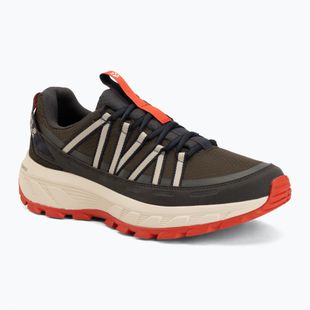 Мъжки туристически обувки Jack Wolfskin Wild Hike Texapore Low obsidian moss