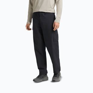 Мъжки панталони за трекинг Jack Wolfskin Yuma Cargo black