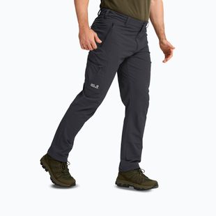 Мъжки панталони за трекинг Jack Wolfskin Activate Flex phantom