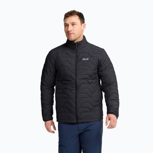 Мъжко ватирано яке Jack Wolfskin Flextrek Ins black