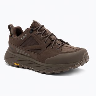 Мъжки обувки за трекинг Jack Wolfskin Terraquest Texapore Low gecko bear