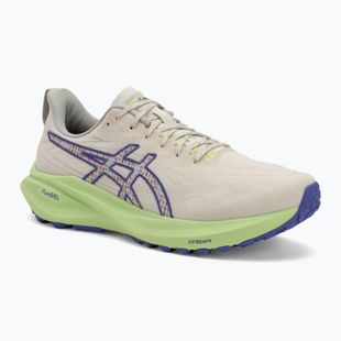 ASICS GT-2000 13 TR мъжки обувки за бягане nature bathing/lime green