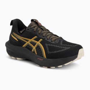 Мъжки обувки за бягане ASICS GT-1000 14 GTX black/sandstorm