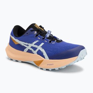 Мъжки обувки за бягане ASICS Fuji Lite 6 cobalt burst/cool grey