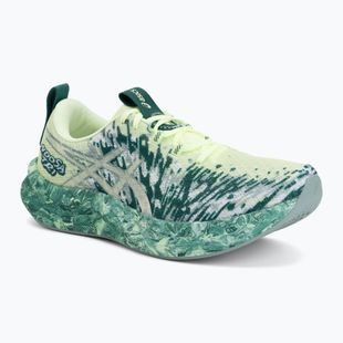 Мъжки обувки за бягане ASICS Noosa Tri 16 illuminate yellow/jewel green