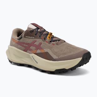 Мъжки обувки за бягане Asics Trabuco 14 Gtx taupe grey/oatmeal
