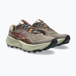 Мъжки обувки за бягане Asics Trabuco 14 Gtx taupe grey/oatmeal