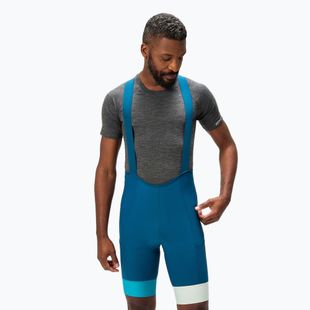 Мъжки шорти за колоездене Endura Loop Bibshort barra blue