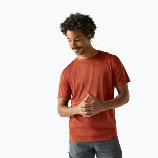 Мъжка тениска за трекинг REGATTA Fingal Edition rusty orange