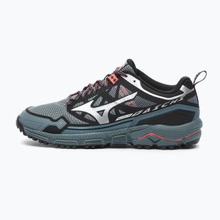 Мъжки обувки Mizuno Wave Daichi LS stormy weather/silver