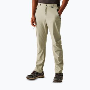 Мъжки панталони за трекинг REGATTA Travel Light Packaway golden sand
