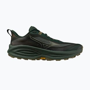 Мъжки обувки за бягане Mizuno Neo Daichi 10 Gtx sycamore/sea spray/martini olive