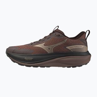Дамски обувки за бягане Mizuno Wave Rider Tt 4 peppercorn/simply taupe/black