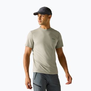 Мъжка тениска REGATTA Mindoi Anti Insect abbeystone