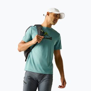 Мъжка тениска за трекинг REGATTA Fingal arctic