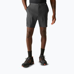 Мъжки шорти за трекинг REGATTA Anti Insect Travel Light ash