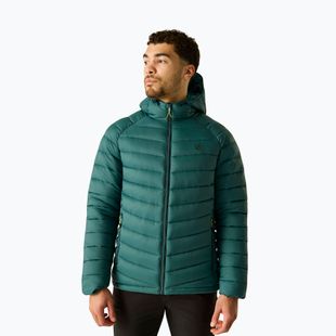 Мъжко ватирано яке Dare 2b Torrek Padded Jacket mediterranea